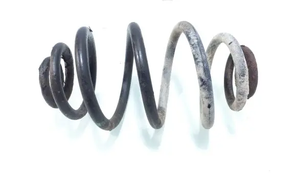 Rear coil spring
