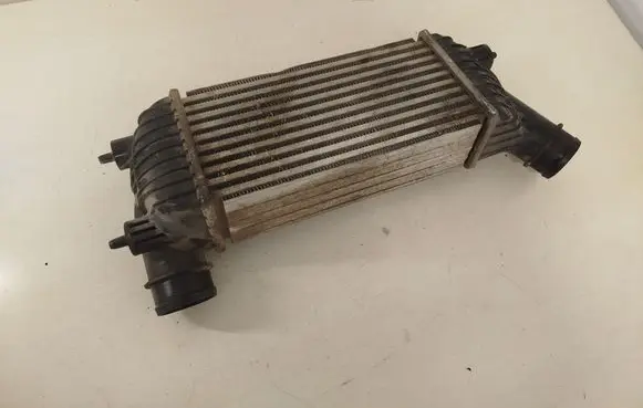 Peugeot Expert Intercooler radiator