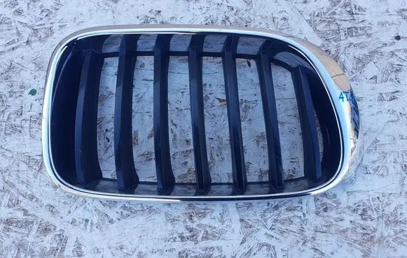 BMW X3 F25 Front bumper upper radiator grill 10627110