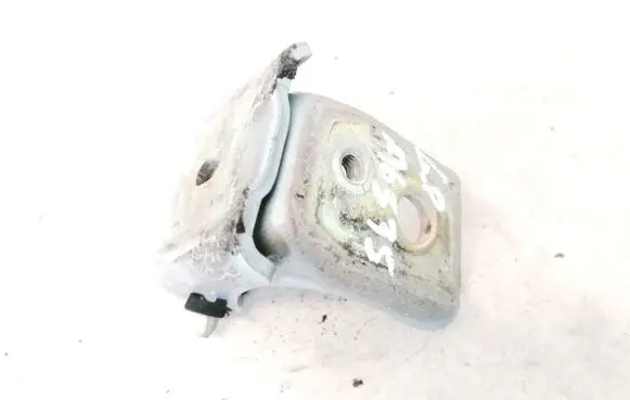 Citroen C5 Rear door lower hinge