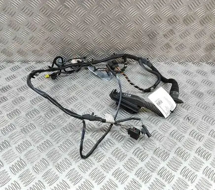 Front door wiring loom