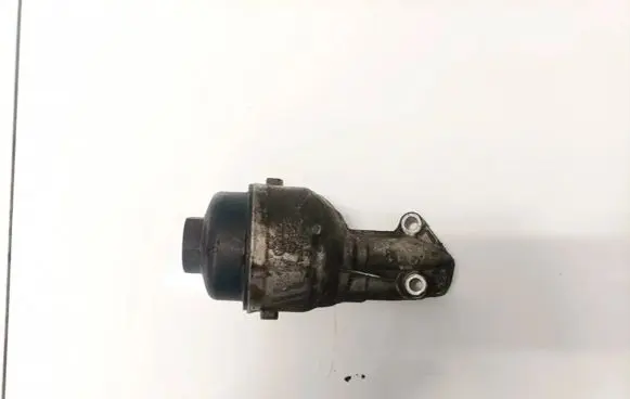 Skoda Roomster (5J) Oil filter cover 03d115403d