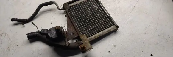 Volkswagen PASSAT B5.5 Coolant radiator 3b0203509