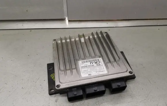 KIA Carnival Engine control unit/module 391024X520