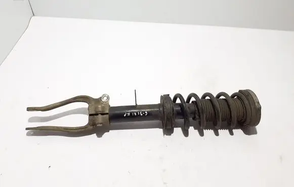 BMW 5 G30 G31 G38 Front shock absorber/damper
