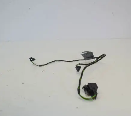 Audi Q5 SQ5 Other wiring loom 80A971164