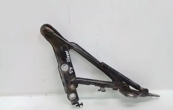 Tailgate/trunk/boot hinge
