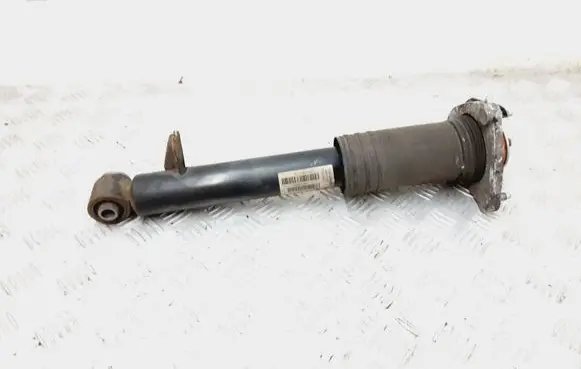BMW X5 E70 Rear shock absorber/damper 6781926