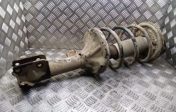 Hyundai Santa Fe Front shock absorber with coil spring