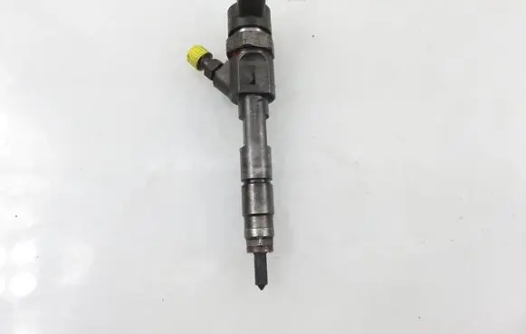 Renault Espace - Grand espace IV Fuel injector 0445110110B 8200100272