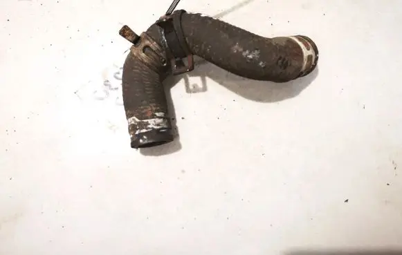 Citroen Berlingo Engine coolant pipe/hose