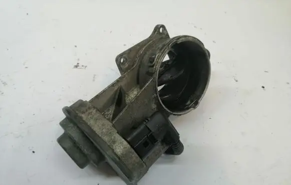 Volkswagen Phaeton Throttle valve V3510011