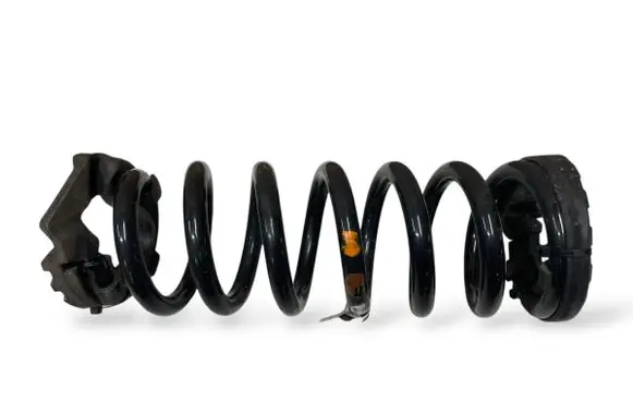 Rear coil spring