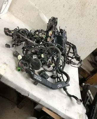 Ford Mondeo MK V Panel wiring Dg9t14a005