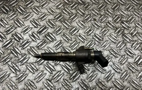 Citroen C5 Fuel injector