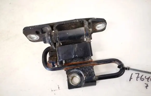 Volkswagen Phaeton Rear door lower hinge