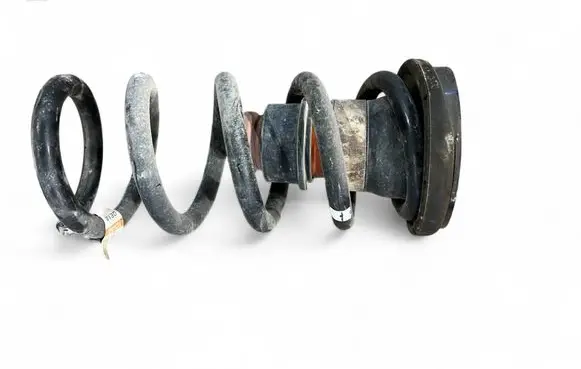 Rear coil spring