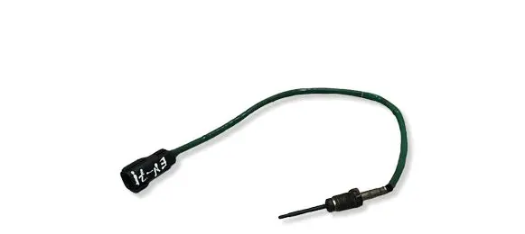 Ford Focus Exhaust gas temperature sensor F1F112B591CB
