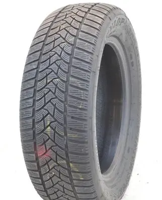 Renault Scenic III - Grand scenic III R16 winter tire 
