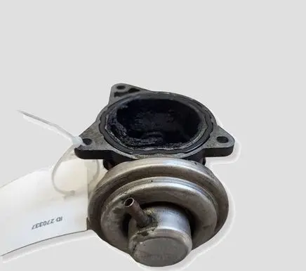 Volkswagen Jetta V EGR valve 038131501AN 324618001