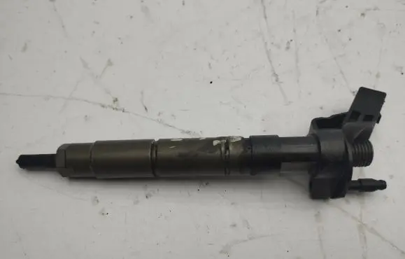 Jeep Grand Cherokee (WK) Fuel injector A6420700587 0445115027