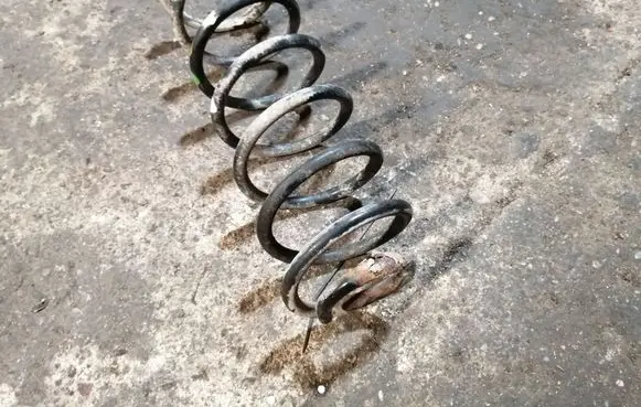 Rear coil spring
