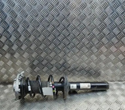 Cupra Born Front shock absorber/damper 1EA412013DJ
