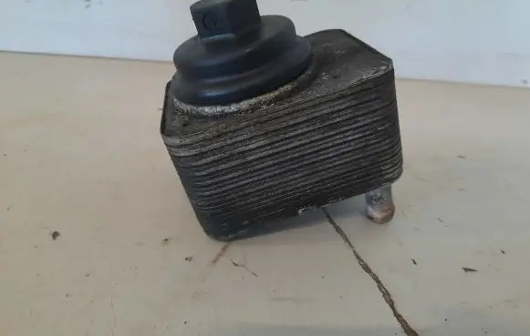 Volkswagen PASSAT B6 Engine oil radiator 038117021B