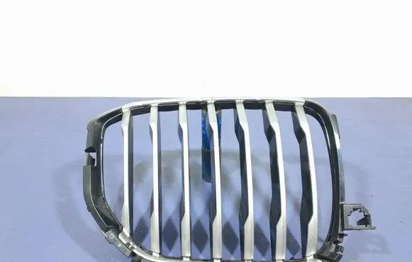 BMW X5 E53 Front grill 