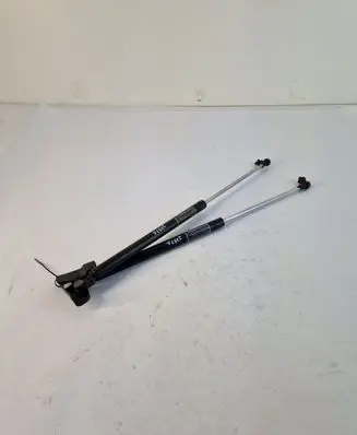 Tailgate/trunk strut/damper