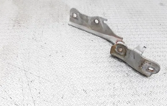 Hyundai Terracan Engine bonnet/hood hinges