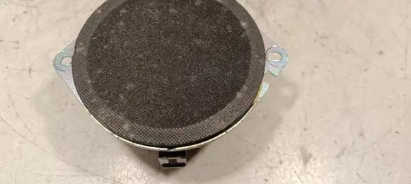 Panel speaker