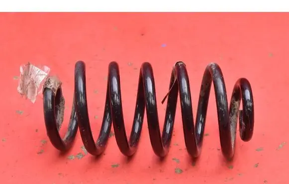 Opel Mokka Rear coil spring 95107103