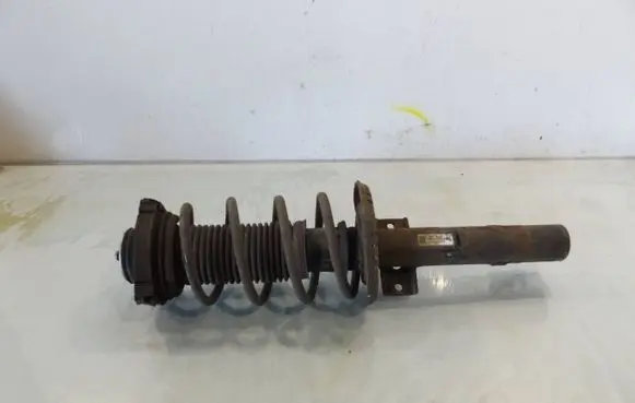 Volkswagen Cross Polo Front shock absorber/damper