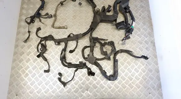 Lexus UX Engine installation wiring loom 8212176110
