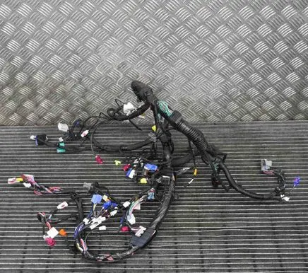 Tesla Model S Other wiring loom 20044291A