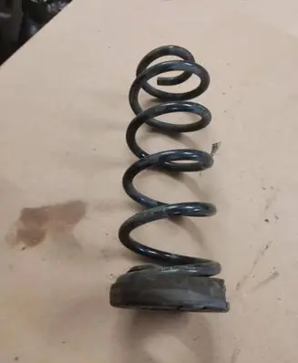 Rear coil spring