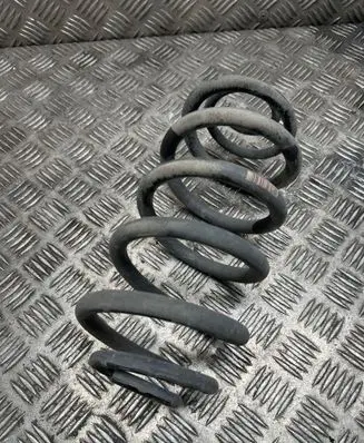 Rear coil spring