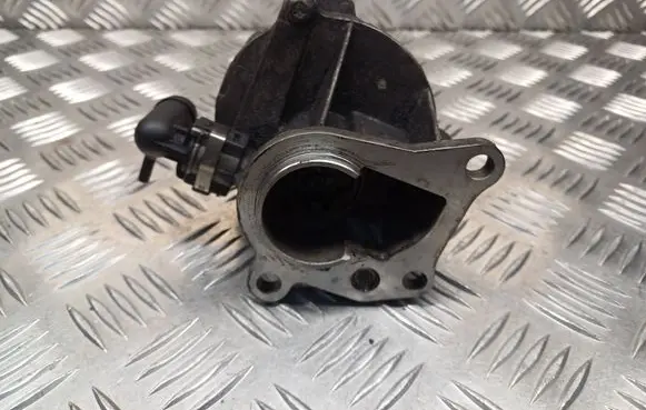 Suzuki Grand Vitara II Vacuum pump D163451323
