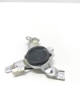 Lexus RX 450H Front door high frequency speaker 8913000401B