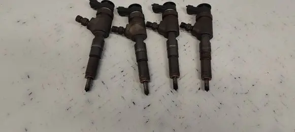 Citroen C3 Fuel injectors set 0445110252