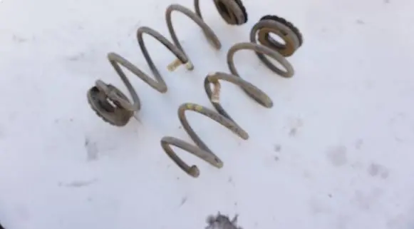 Rear coil spring