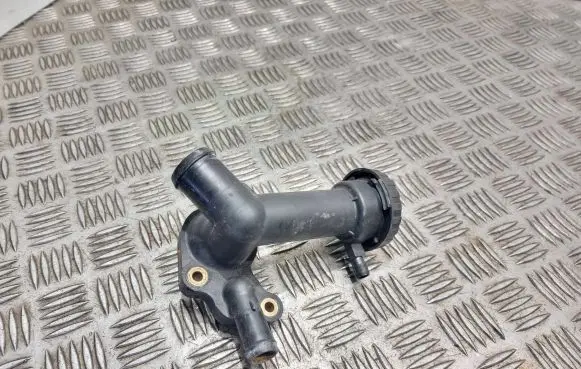 Thermostat/thermostat housing