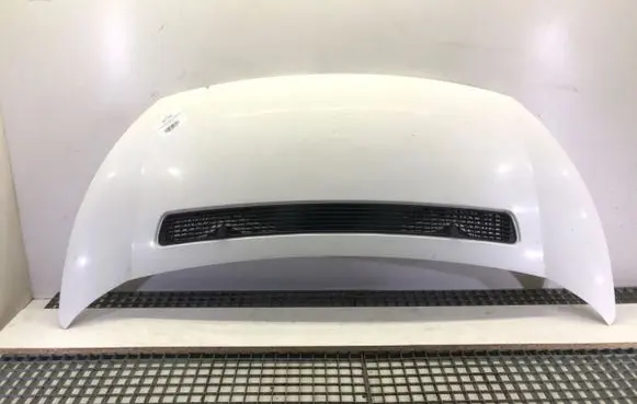 Engine bonnet/hood