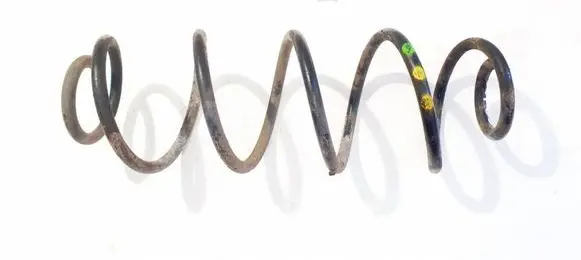 Rear coil spring