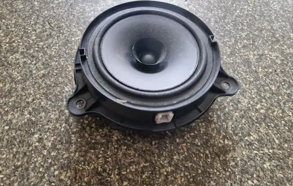 Nissan Leaf I (ZE0) Front door speaker