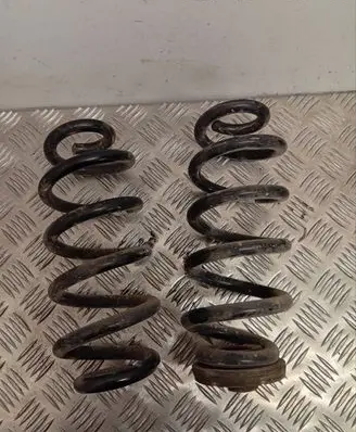 Rear coil spring