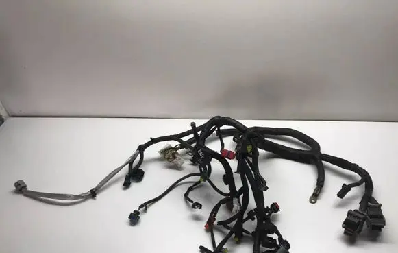 Nissan Qashqai Engine installation wiring loom 24011JD03E