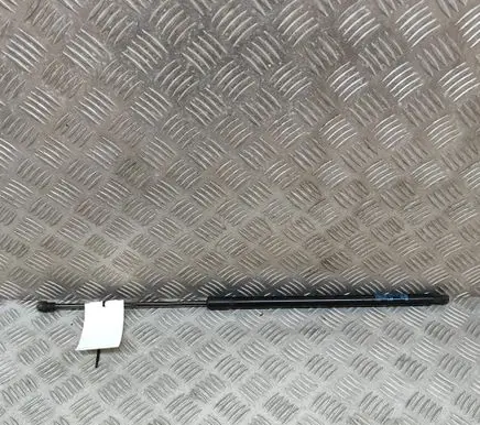 Opel Mokka Tailgate/trunk strut/damper 95095593
