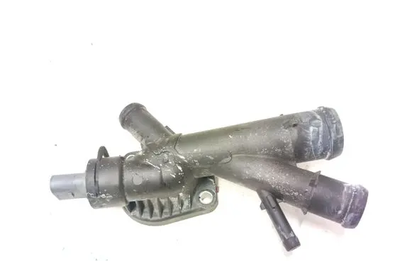 Thermostat/thermostat housing